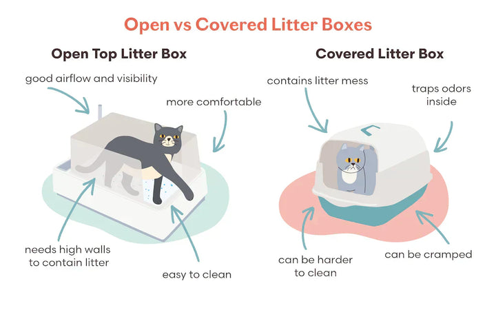 Open Litter Tray vs. Covered Litter Box – Which Is Better for Your Cat?