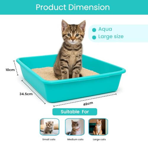 Vishchit Large Cat Litter Tray Pack of 1 - Plastic Tray for Cats and Kittens