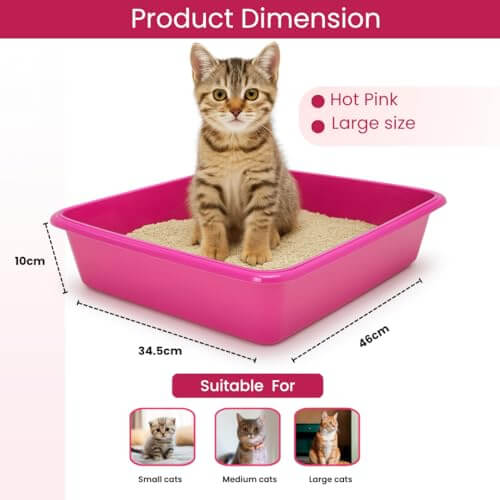 Vishchit Medium Cat Litter Tray Pack of 2 (40cm) - Plastic Tray for Cats and Kittens
