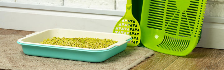 Pet Supplies for Cats, Rabbits & Small Pets