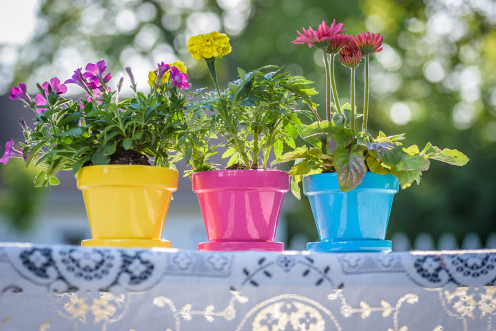 Outdoor & Garden Supplies for Lawn, Patio & Balcony Spaces